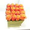 Rm 102 - Image 2