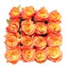 Rm 102 - Image 3