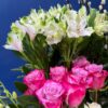 Statement Beauty - Rm 71 - Image 3