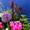 Statement Beauty - Rm 71 - Image 4