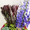Rm 83 - Image 2