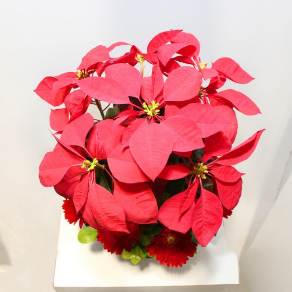 Poinsettia arrangement - Image 2