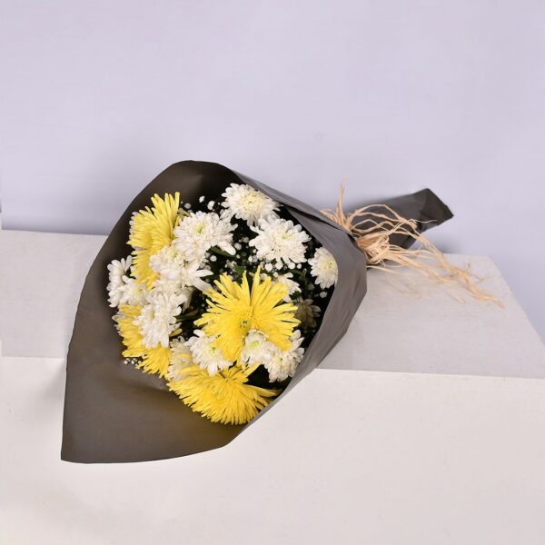 Eq 12 - Image 2