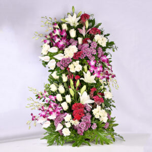 Bright Celebration - Xv 19