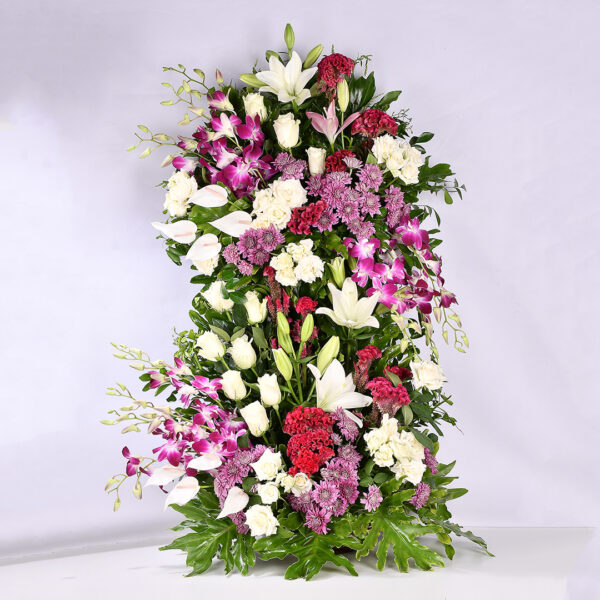Bright Celebration - Xv 19