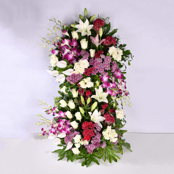 Bright Celebration - Xv 19 - Image 2