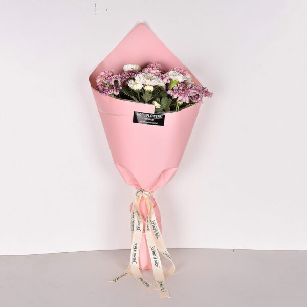 Daily Delight - Eq 70 - Image 2