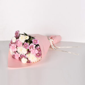 Daily Delight - Eq 70