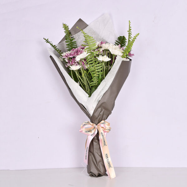 Eq 66 - Image 2