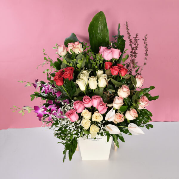 Blush Mix - Em 70 - Image 2