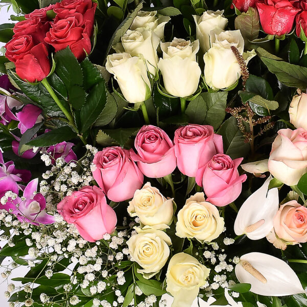 Blush Mix - Em 70 - Image 3