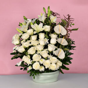 White Elegance - Em 71