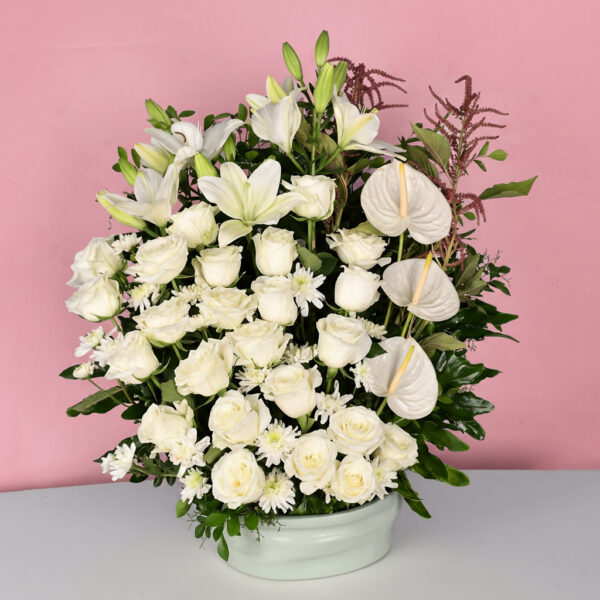 White Elegance - Em 71 - Image 2