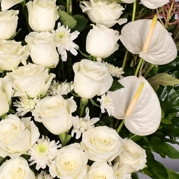 White Elegance - Em 71 - Image 3