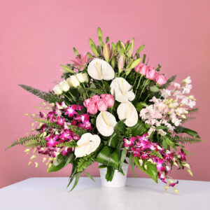 Rosy Charm - Em 72