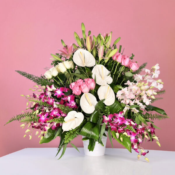 Rosy Charm - Em 72