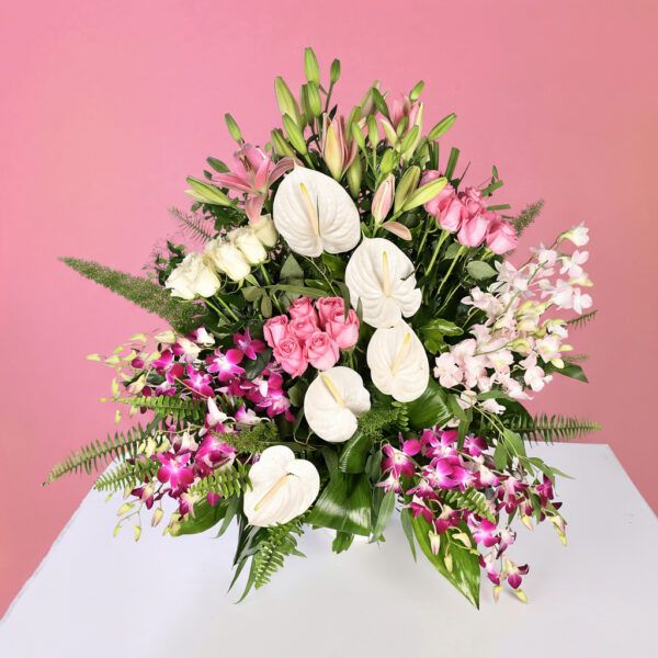 Rosy Charm - Em 72 - Image 2