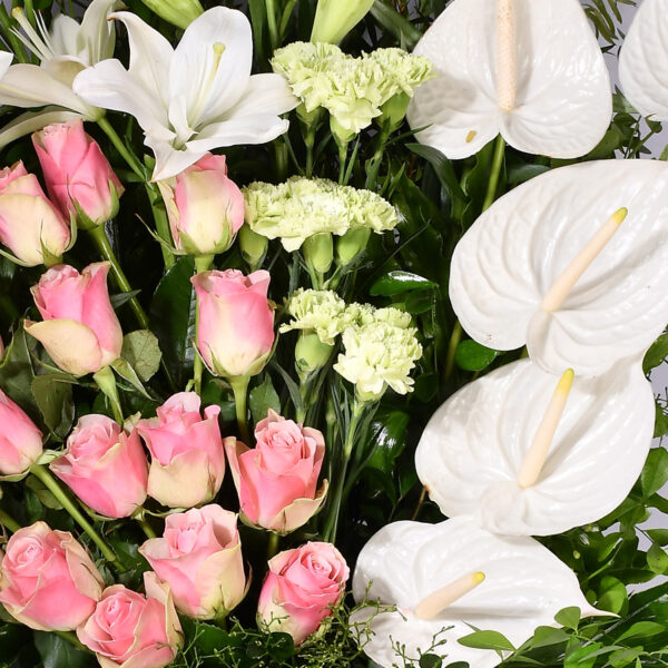 Pure White - Em 73 - Image 3